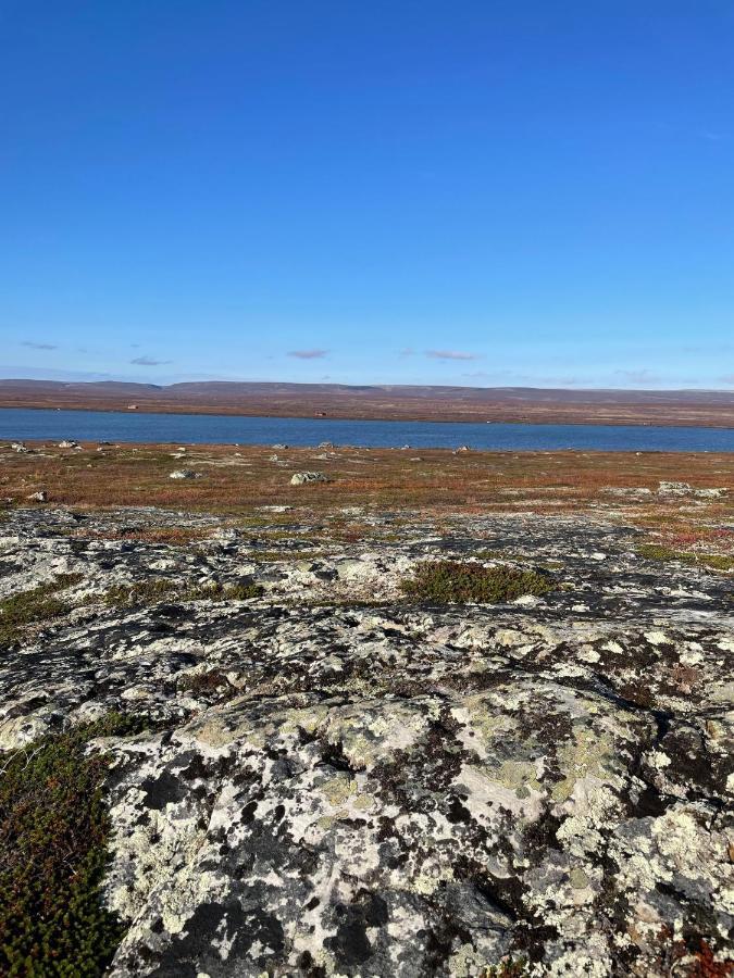 Ekkeroy Lodge - Arctic Living Vadsø Eksteriør billede